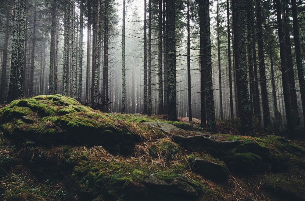 Mikroabenteuer-AdobeStock_78894153-web