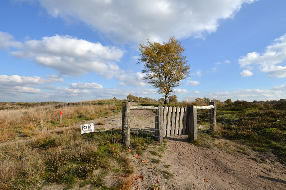 RADLSPASS-Mal-7-AdobeStock_95019513-web