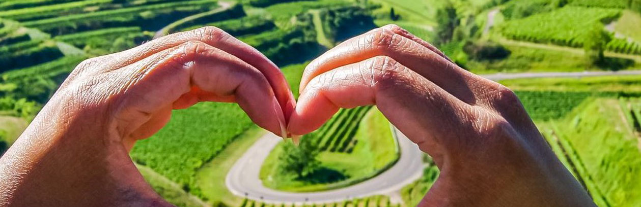 Rieslingtour Radreisen Mevelo