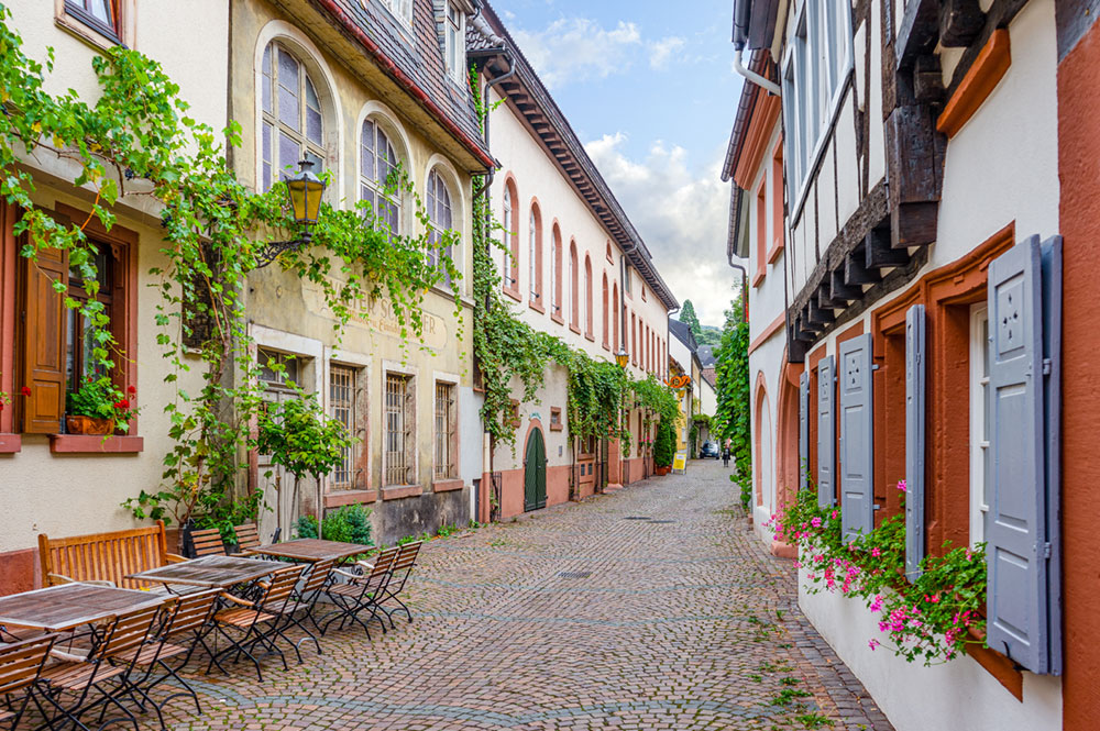Rieslingtour-Neusradt-an-der-Weinstraße-AdobeStock_298216557-web