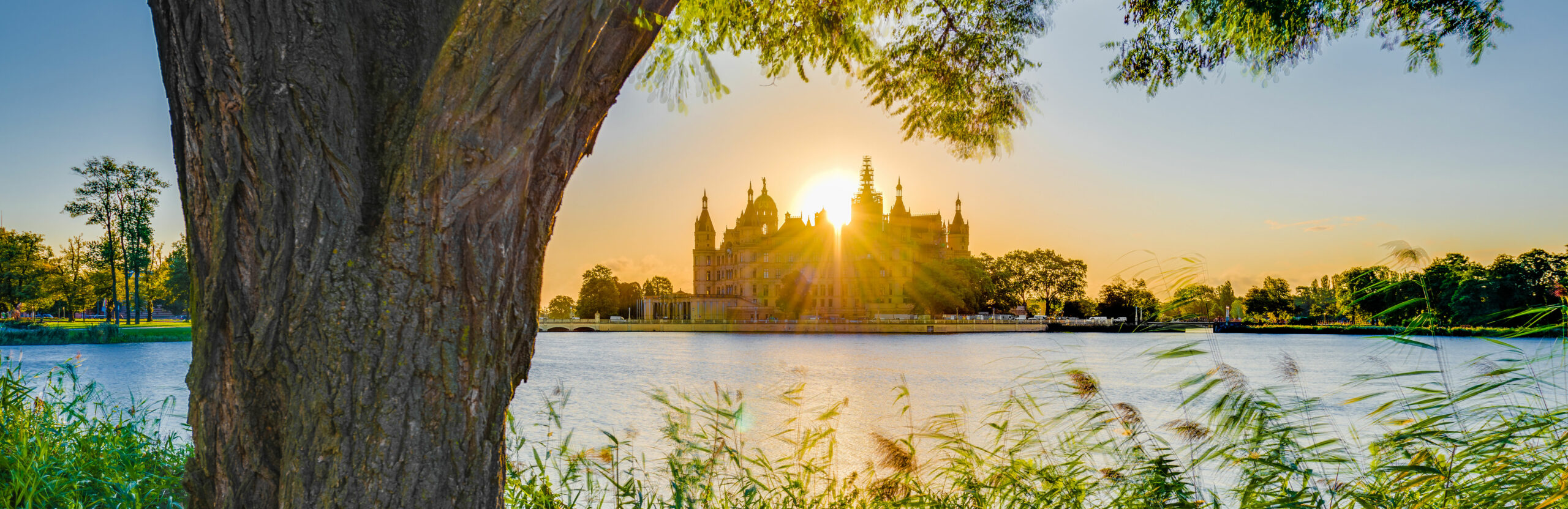 Mecklenburger Sahnestücke