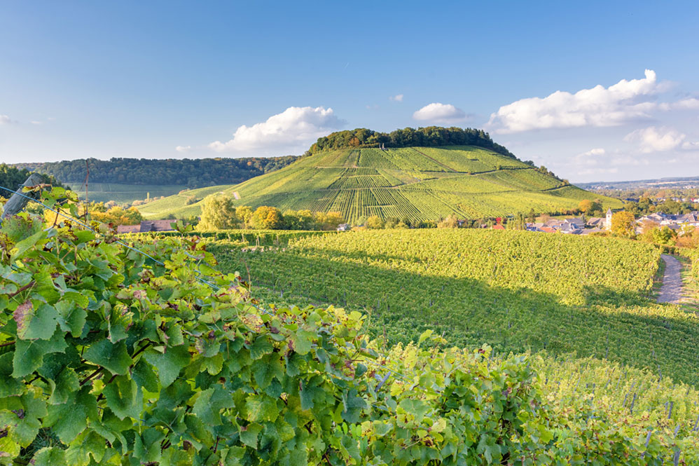 Vier-Taeler-Tour--Weinberge-AdobeStock_176246602-web Vier-Täler-Tour in Luxemburg